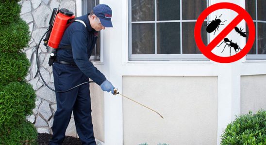 Çelebi Hamam Böceği İlaçlama böcek ilaçlama ve haşere kontrolü — ilaclama-tr.com